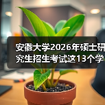 安徽大学2026年硕士研究生招生考试这13个学院科目变了！（图4）