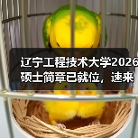 辽宁工程技术大学2026硕士简章已就位,速来围观!(图1) 辽宁工程技术大学2026硕士简章已就位,速来围观!(图1)