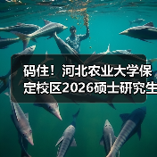 码住！河北农业大学保定校区2026硕士研究生招收章程（图3）
