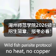 湖州师范学院2026硕士招生简章,报考必看!(图2) 湖州师范学院2026硕士招生简章,报考必看!(图2)