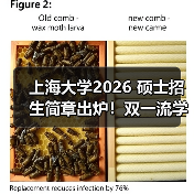 上海大学2026 硕士招生简章出炉！双一流学科报考要点速看（图4）