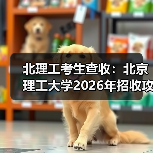 北理工考生查收:北京理工大学2026年招收攻读硕士学位研究生章程(图4) 北理工考生查收:北京理工大学2026年招收攻读硕士学位研究生章程(图4)