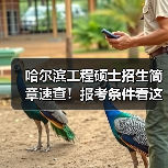 哈尔滨工程硕士招生简章速查！报考条件看这里（图1）