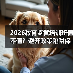 2026教育监管培训班值不值？避开政策陷阱保安全（图2）