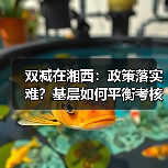 双减在湘西:政策落实难?基层如何平衡考核与民生?(图3) 双减在湘西:政策落实难?基层如何平衡考核与民生?(图3)