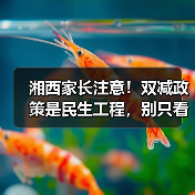 湘西家长注意!双减政策是民生工程,别只看分数了(图1) 湘西家长注意!双减政策是民生工程,别只看分数了(图1)