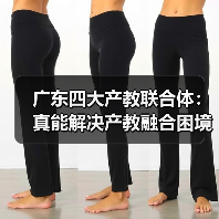 广东四大产教联合体：真能解决产教融合困境吗（图4）