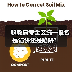 职教高考全区统一报名是馅饼还是陷阱?(图4) 职教高考全区统一报名是馅饼还是陷阱?(图4)