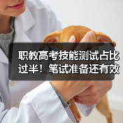 职教高考技能测试占比过半!笔试准备还有效吗?(图1) 职教高考技能测试占比过半!笔试准备还有效吗?(图1)