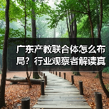 广东产教联合体怎么布局?行业观察者解读真实标准(图2) 广东产教联合体怎么布局?行业观察者解读真实标准(图2)