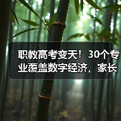 职教高考变天!30个专业覆盖数字经济,家长误选如何避坑?(图1) 职教高考变天!30个专业覆盖数字经济,家长误选如何避坑?(图1)