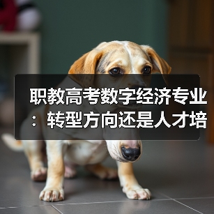 职教高考数字经济专业:转型方向还是人才培养难题?(图2) 职教高考数字经济专业:转型方向还是人才培养难题?(图2)