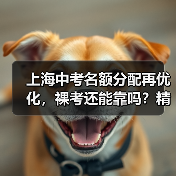 上海中考名额分配再优化,裸考还能靠吗?精准策略才是王道(图2) 上海中考名额分配再优化,裸考还能靠吗?精准策略才是王道(图2)