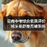 云南中考综合素质评价:城乡差距是否被系统放大?(图2) 云南中考综合素质评价:城乡差距是否被系统放大?(图2)