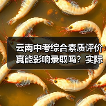 云南中考综合素质评价真能影响录取吗?实际效果大不同(图3) 云南中考综合素质评价真能影响录取吗?实际效果大不同(图3)