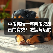 中考英语一年两考减压真的有效？数据背后的真相（图3）
