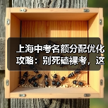 上海中考名额分配优化攻略：别死磕裸考，这三条路更野（图1）