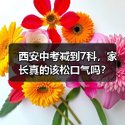 西安中考减到7科，家长真的该松口气吗？（图1）