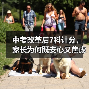 中考改革后7科计分，家长为何既安心又焦虑？（图3）