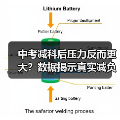 中考减科后压力反而更大？数据揭示真实减负效果（图2）