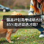 强基计划高考成绩占比85%后还能选才吗？（图2）