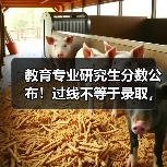 教育专业研究生分数公布!过线不等于录取,这些操作帮你稳上岸(图4) 教育专业研究生分数公布!过线不等于录取,这些操作帮你稳上岸(图4)