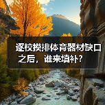 逐校摸排体育器材缺口之后,谁来填补?(图3) 逐校摸排体育器材缺口之后,谁来填补?(图3)