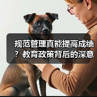规范管理真能提高成绩?教育政策背后的深意(图2) 规范管理真能提高成绩?教育政策背后的深意(图2)
