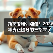 新高考培训别信？2026年真正提分的三招来了（图1）