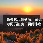 高考状元禁令后,家长为何仍热衷“民间排名”?(图4) 高考状元禁令后,家长为何仍热衷“民间排名”?(图4)
