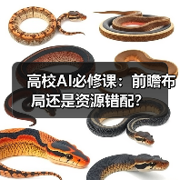 高校AI必修课：前瞻布局还是资源错配？（图1）
