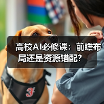 高校AI必修课：前瞻布局还是资源错配？（图3）