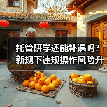 托管研学还能补课吗?新规下违规操作风险升级(图2) 托管研学还能补课吗?新规下违规操作风险升级(图2)