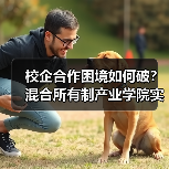 校企合作困境如何破?混合所有制产业学院实战揭秘(图2) 校企合作困境如何破?混合所有制产业学院实战揭秘(图2)