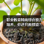 职业教育转向综合能力培养,你还只教技能?别再当“高级螺丝刀”!(图2) 职业教育转向综合能力培养,你还只教技能?别再当“高级螺丝刀”!(图2)