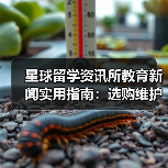 星球留学资讯所教育新闻实用指南：选购维护与问题解析（图2）