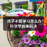 孩子不爱学习怎么办？科学早教来解决（图2）